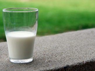 susu untuk ibu hamil agar Kehamilan Kecukupan Gizi